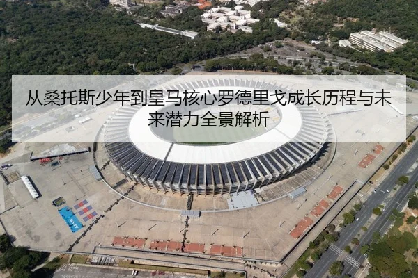 从桑托斯少年到皇马核心罗德里戈成长历程与未来潜力全景解析